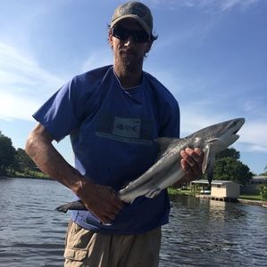 Meet your Posher, Brian